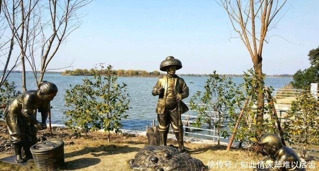 中国最漂亮的“水上森林”,景色随四季而变,适合游客打卡拍照