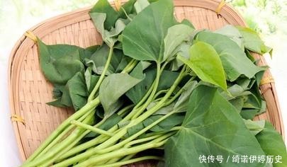  『冬天』阳台不种花，拿来种蔬菜，一个月就有收成，冬天都不用买菜！