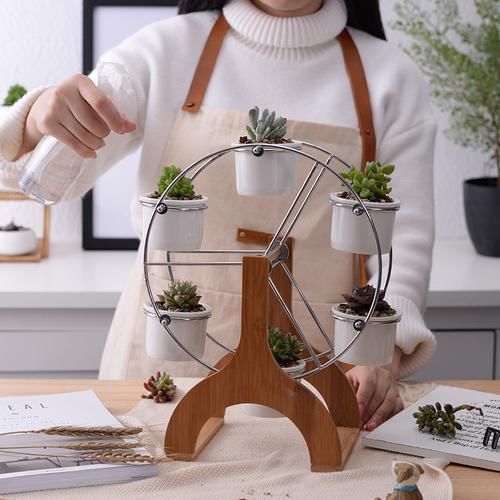  『植物』10人9爱的这些盆栽，老婆一口气买三盆，吸湿气除异味特管用