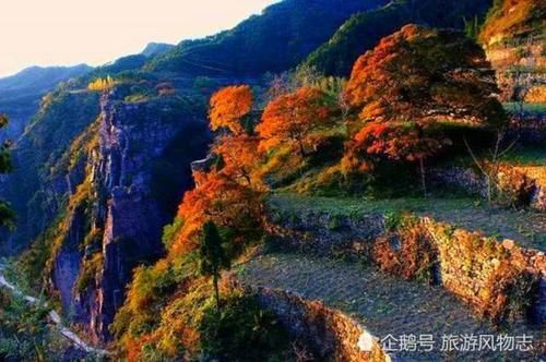 新乡最有名的5大景点，其中1处是郭亮村，你去过吗？