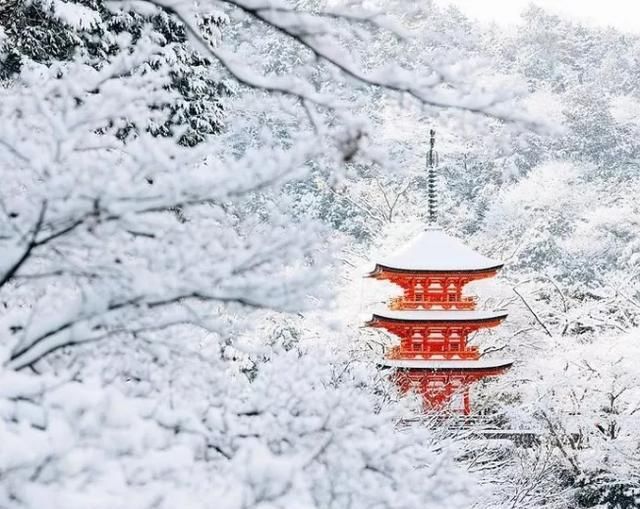 日本推荐！冬季一定不能错过的雪天绝景