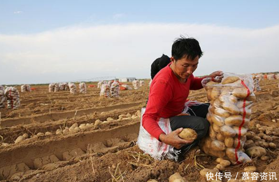全球第一个被“治愈”的沙漠 村民拿来种土豆, 一年收获上万斤