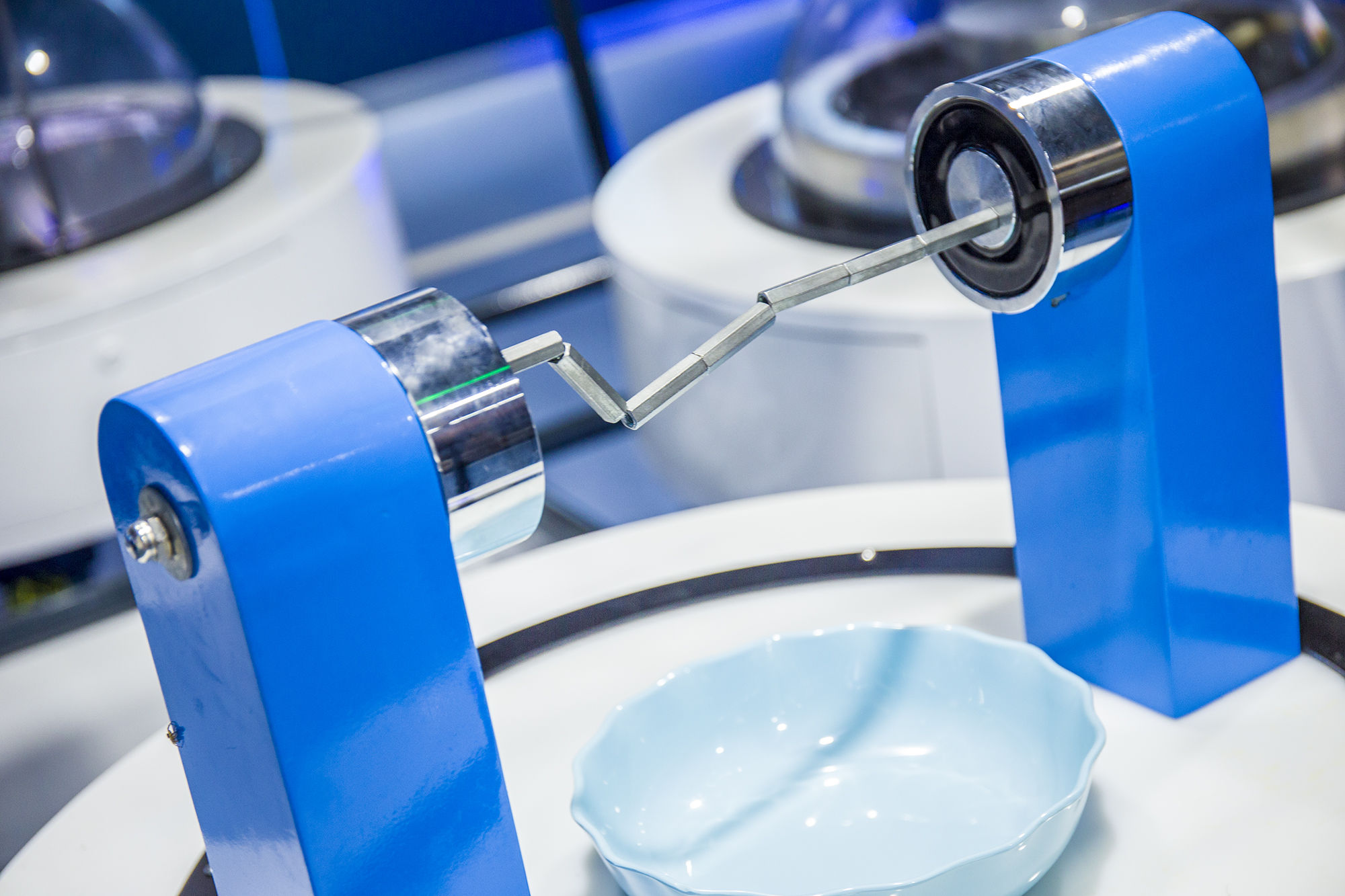 东营丨走过沧海桑田，终是在芦花飞雪的秋日遇见你