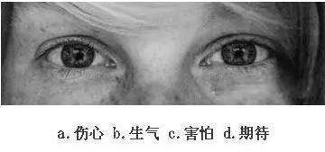 看眼神,猜情绪,测情商,给自己的情商定个级,