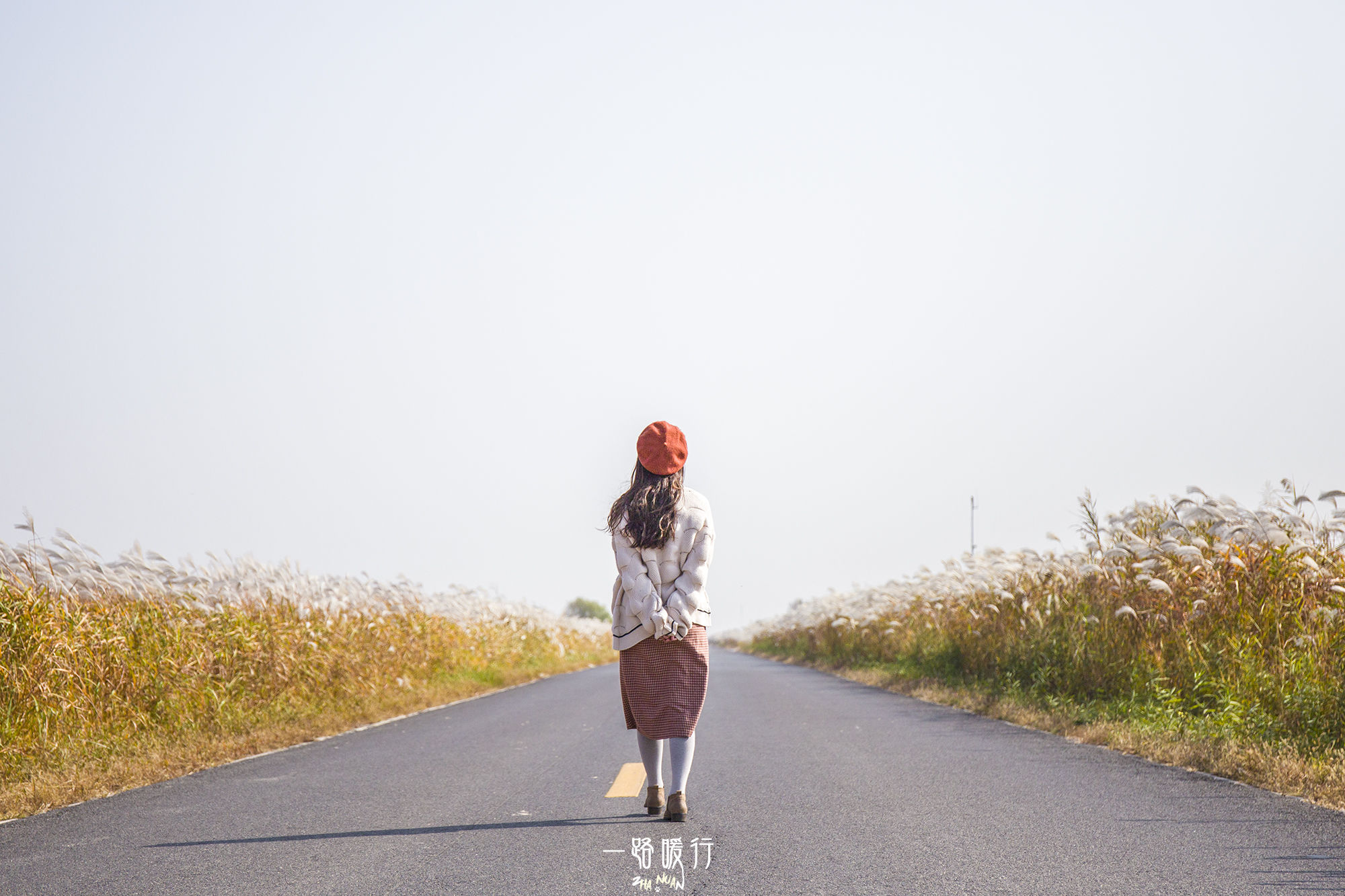 东营丨走过沧海桑田，终是在芦花飞雪的秋日遇见你