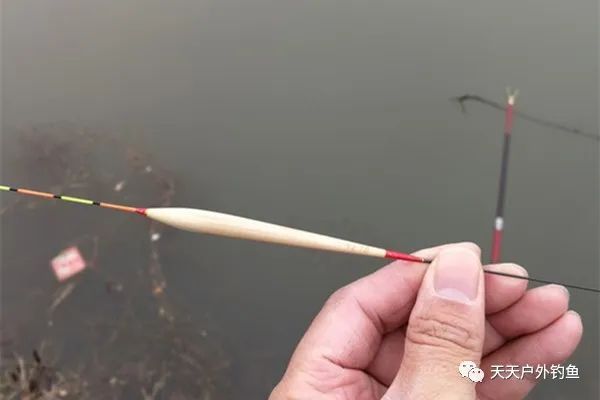 『鱼率』晚春野钓大鱼,漂尾加粗的浮漂应该这样使用,中鱼率超高!