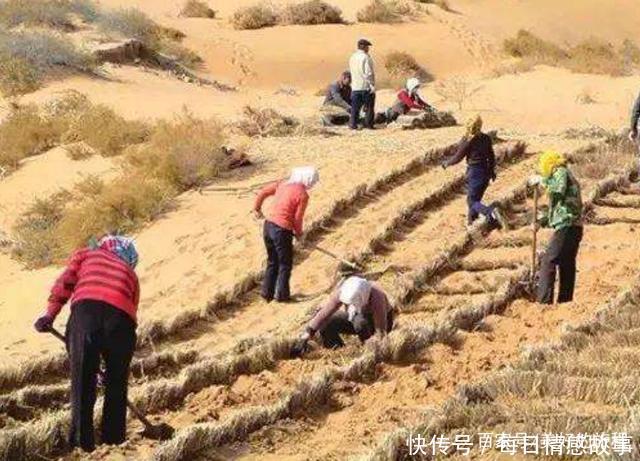 我国治沙又有新突破，这个沙漠即将“消失”，深受联合国的赞叹