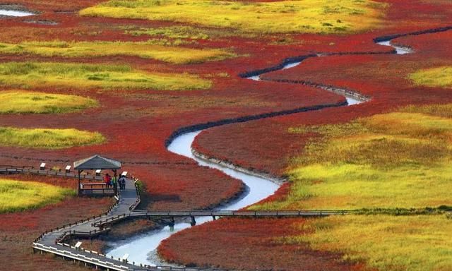 又一个红叶王国！国内这处秘境，有比肩枫叶之国加拿大的醉美秋色