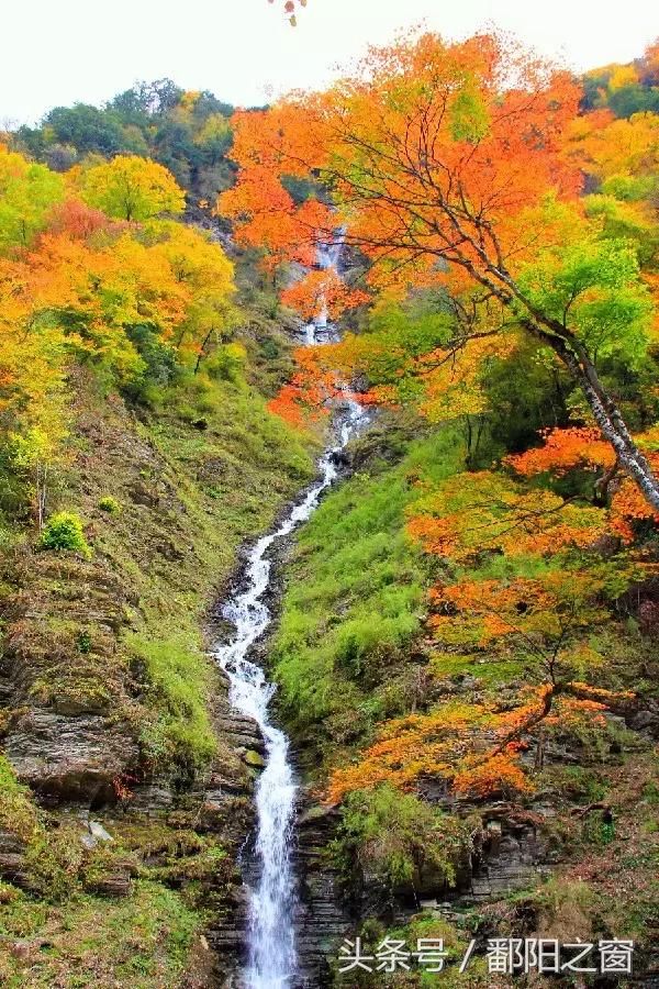 陕西：“天然氧吧”、“秦岭的九寨沟”还有唐太宗李世民的银杏…