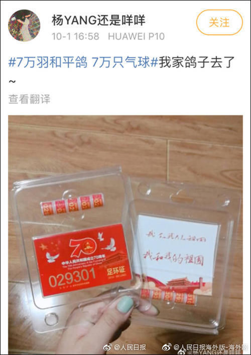  鸽子|国庆大会的7万和平鸽 原来是从市民家里借来的