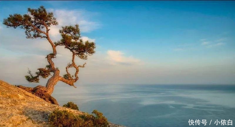 世界最深湖泊正快速增长, 将形成海洋, 有可能将亚欧大陆一分为二