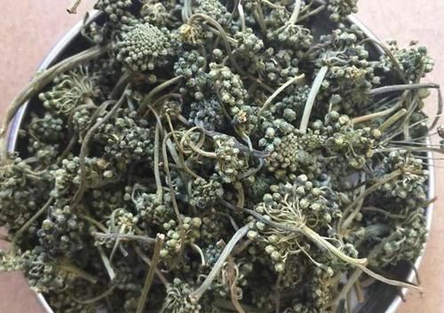  「植物」1种野生的植物，常被称为“人参花”，遇见是幸运，1斤能卖“60”