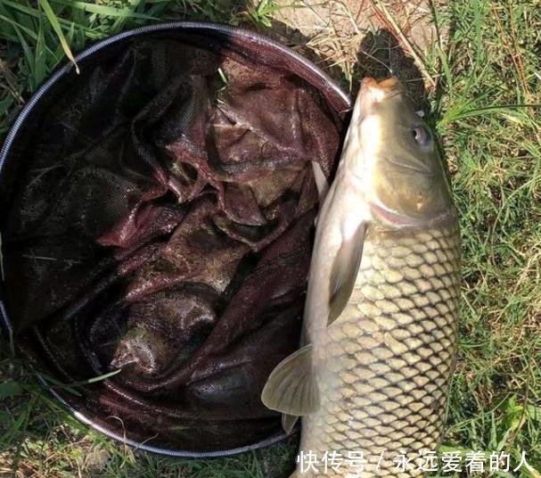 『想想』钓鱼几年从没钓到过大的认真想想,这些细节你是否从没注意过!