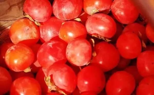 西安年最中国|盘点西安能带走的特产,为回家过