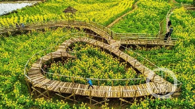 暖春花开香百里 乡村发展正当时【2020热门旅游景点】