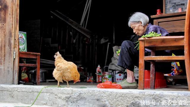 一次性交6万，每月领取1500元养老金，你愿意吗？