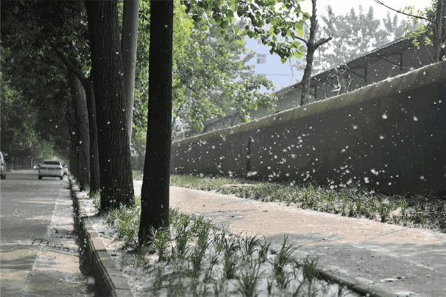 冷空气又来啦！降温！暴雨！还有漫天“雪花”...