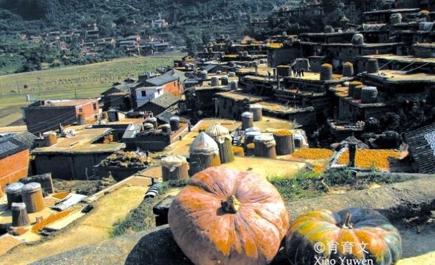 云南这个城子村百家相连,你家屋顶我家庭院,那是故乡的原风景