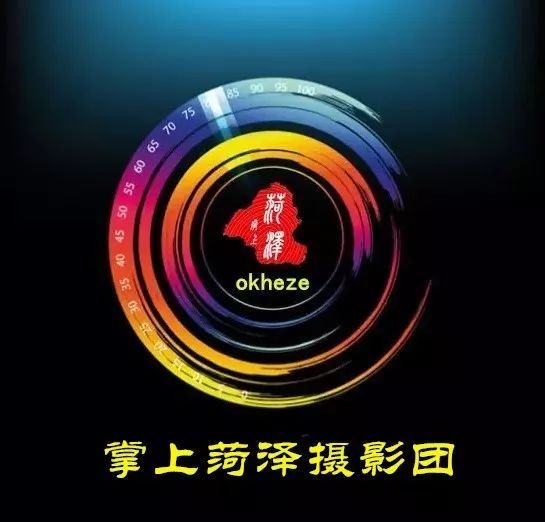  【簇拥】菏泽：鲜花簇拥牡丹城