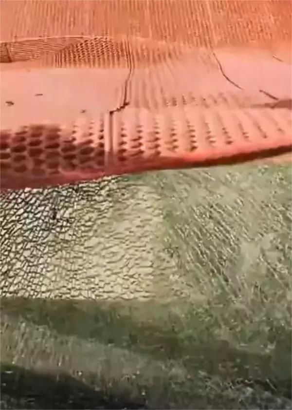 真碎了!邯郸东太行景区回应玻璃栈道出现“裂缝”