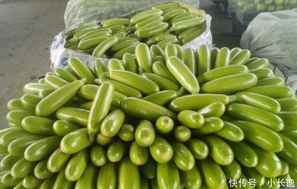  欧洲■100年前当稀奇从欧洲引进，因产量太高被嫌弃，农民不愿意