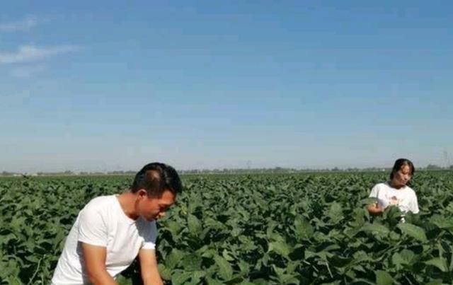  「适合」有这几种行为的不适合当“村干部”