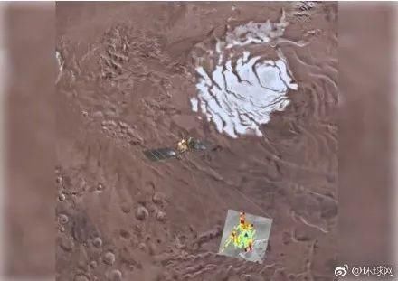 一周不正经文艺小报|如果你养了猫，赚钱之前记得查查弓形虫