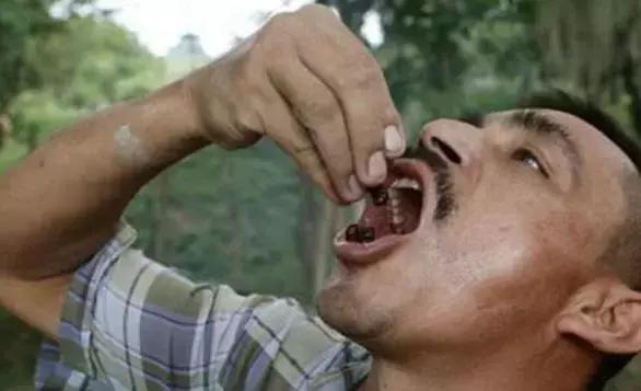 哥伦比亚人将蚂蚁当零食:爆炒后装袋当花生米吃,价格还很昂贵!