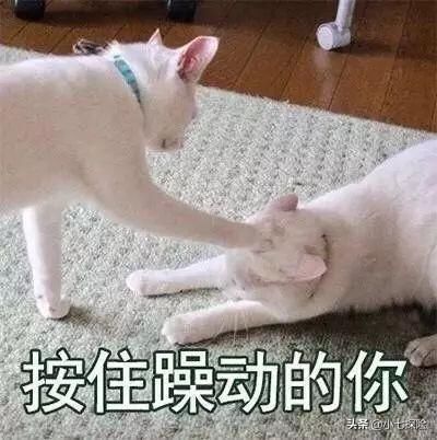  【医保】社保断缴还可以这么做，再也不怕断缴了