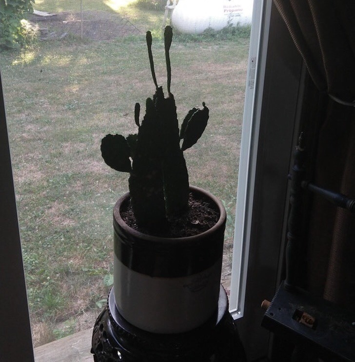 15张震撼的照片，让人不禁感叹世界的奇妙