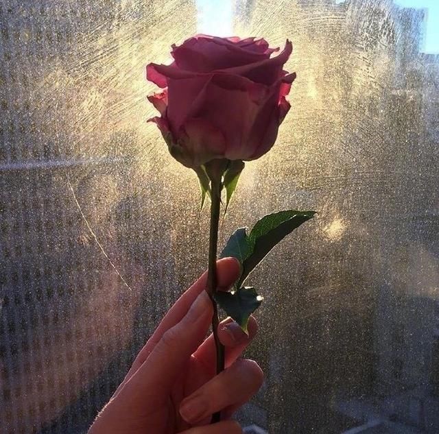 说到心坎的说说心情短语,你最喜欢哪一句?