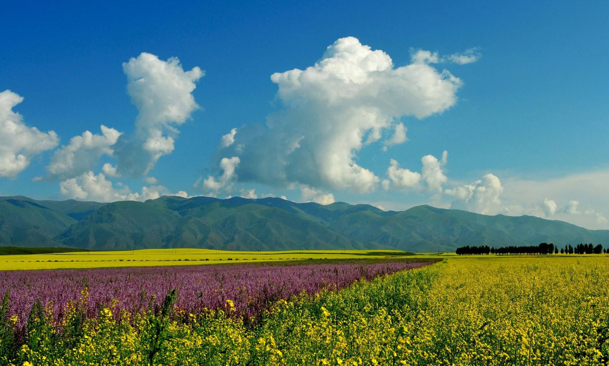 新疆唯一没有荒漠的县 被称为中国天马之乡 风景优美 却少有人知