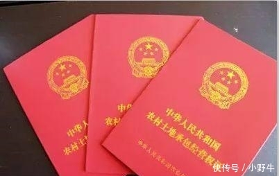 有偿退出宅基地遇冷? 用宅基地能换几十万, 为啥农民还不愿意?