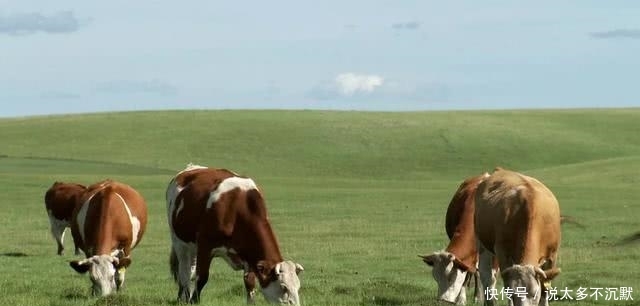 从推着三轮车摆摊卖菜，到一年卖出4个亿 他做对了什么？