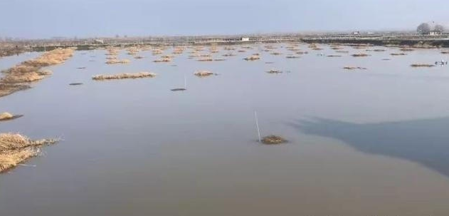  发家致富|曾当作发家致富项目，如今却成了烫手山芋，养殖户哽咽