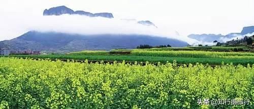 华东唐古拉山口，巅峰上清凉的浙江海拔最高公路-华浪线