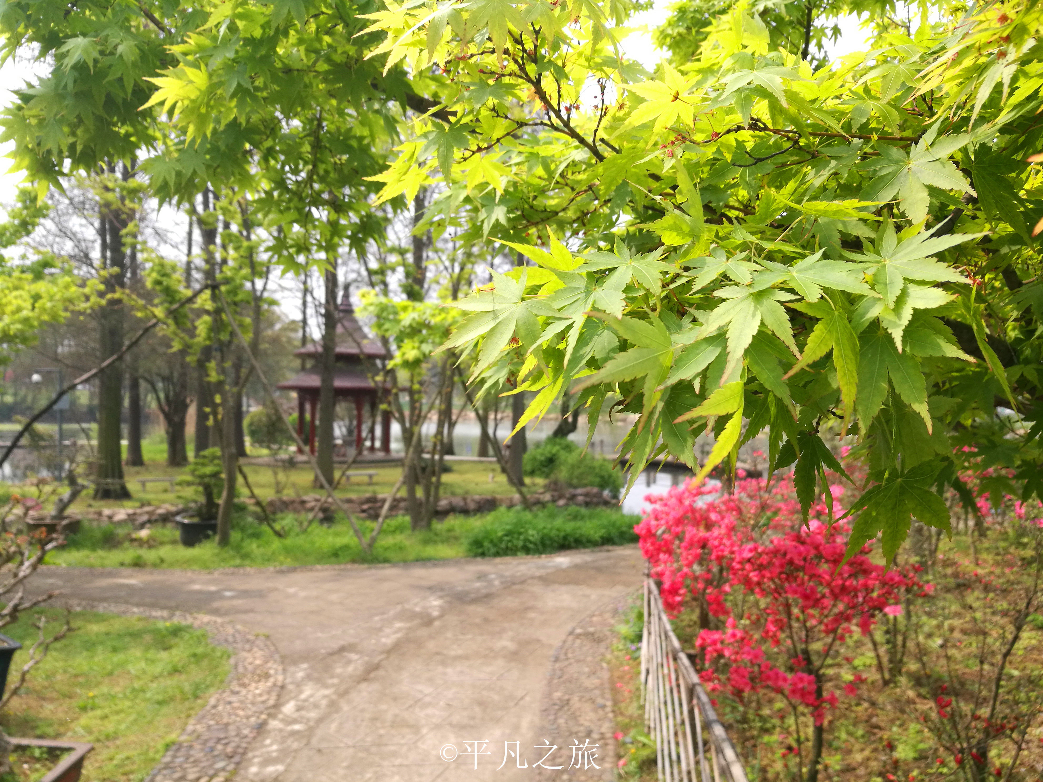 这片土地曾归项羽管，现在是免费开放的5A景区