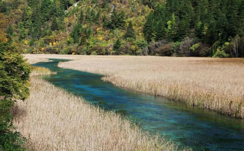  宜宾：四川“最适合”居住的城市，不是成都和宜宾，也不是绵阳