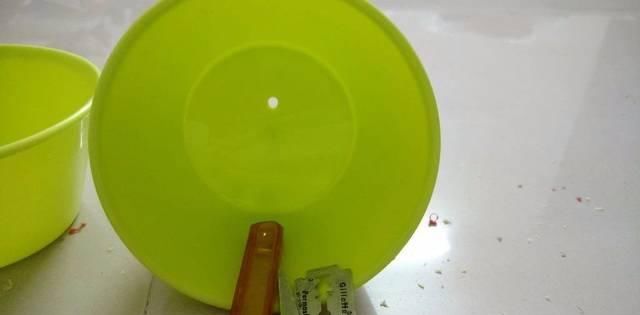  盆栽植物：我用这方法扦插繁殖了几十盆的植物，薄荷、吊兰轻松培育