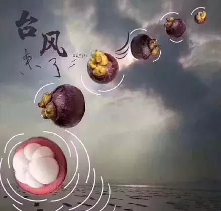 山竹文案太好笑 发博的多数是港台艺人和情商高的明星 而他躺枪了