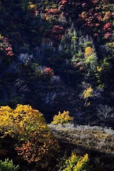 这里真是了不得，大山里原生态的古村落，北京最美的乡村之一！