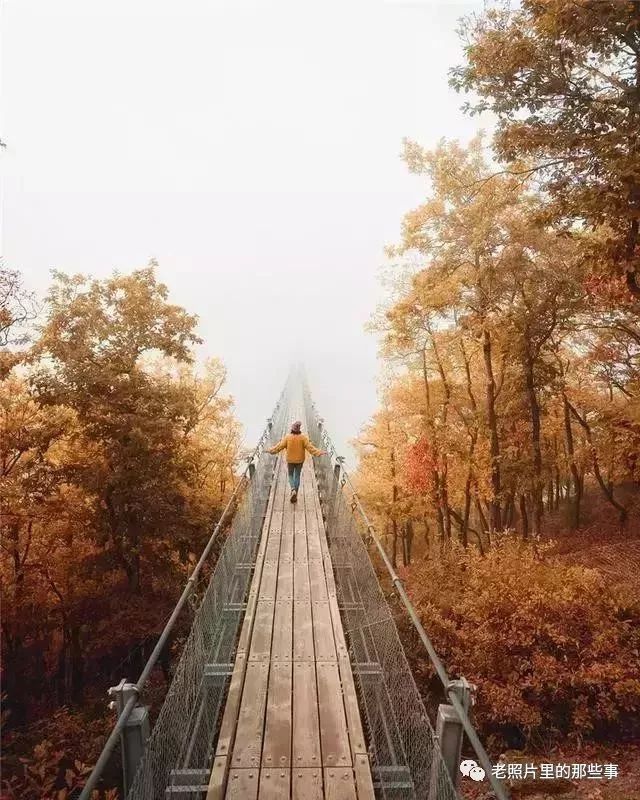 太壮观了，许多人没有看过的照片！（赶紧收藏）