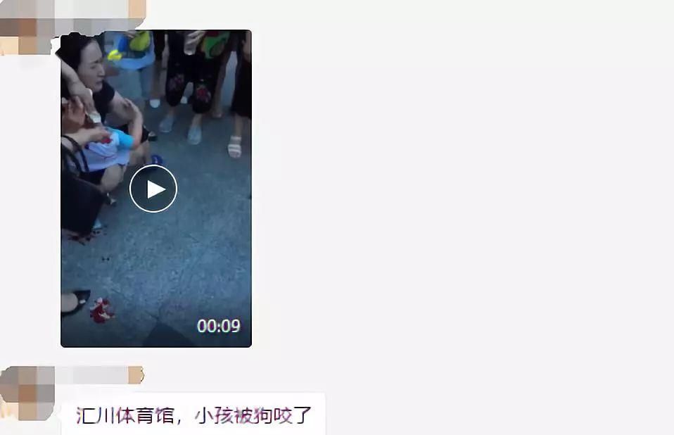 朋友圈疯传!体育馆附近有狗咬人?这个事情不是在遵义!假的!