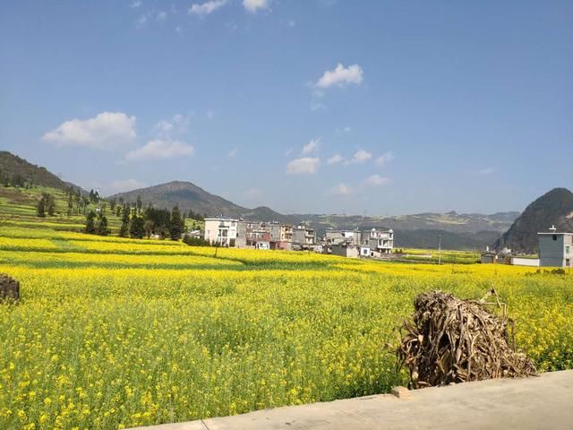 广州夫妻自驾云南罗平九龙瀑布群,亮点不是油菜花,2项目极特别