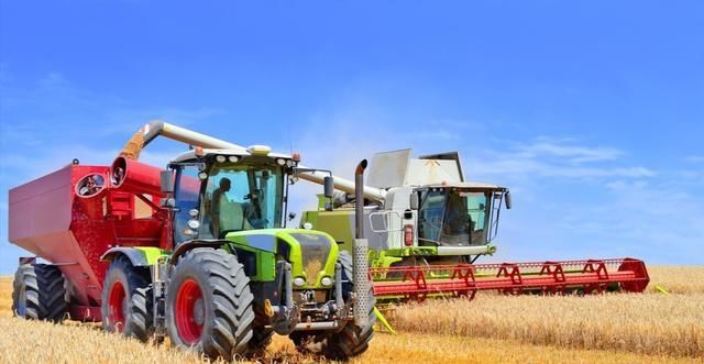  『各省』2019中国各省粮食产量排名，你的家乡上榜了吗？