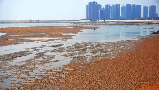  「无人区」花60亿开发无人区，十几年只赚了4千万，如今这块地却