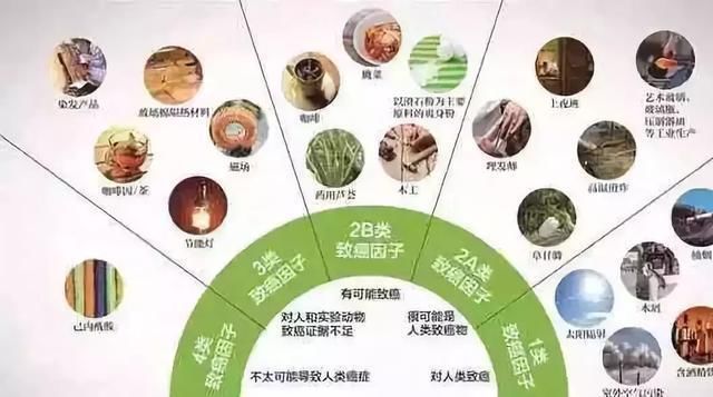 网传异烟肼只毒狗，对人无害，这是真的吗?一次讲明白