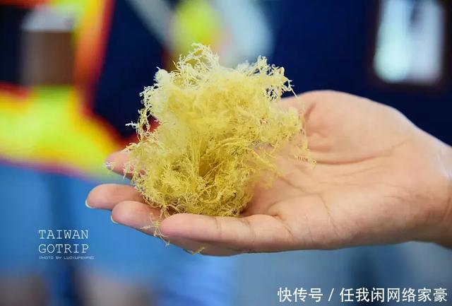 玩不腻的台湾  从美食展到小众景点漫游！千万不能错过！