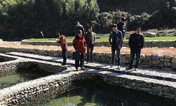 农民养草鱼，却不用鱼塘，80块1斤还供不应求！