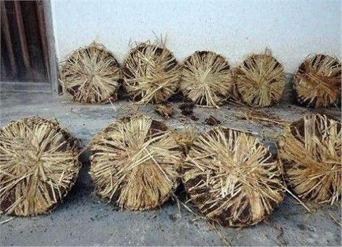 农民用来种地的肥料，城里人当宝一样看待，被称为“东方橄榄油”